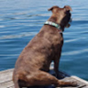 Meet your Posher, Lorian